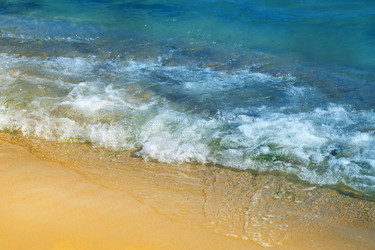 Similar image 13113369