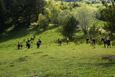 Similar image 13109414