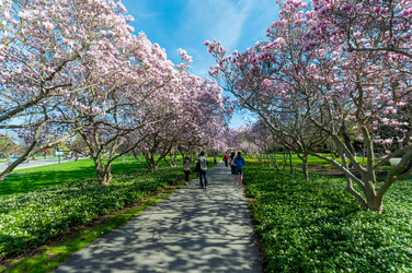 Similar image 13105775