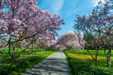 Similar image 13105776