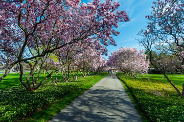 Similar image 13105794