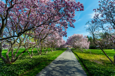 Similar image 13105795