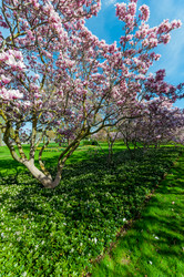 Similar image 13105833