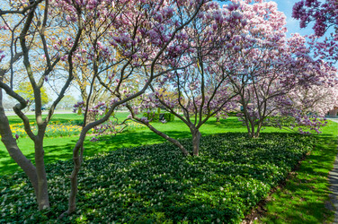 Similar image 13105852