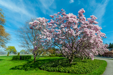 Similar image 13106047