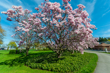 Similar image 13106061