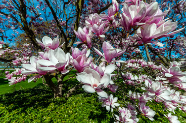 Similar image 13106093