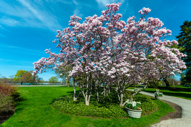 Similar image 13106094