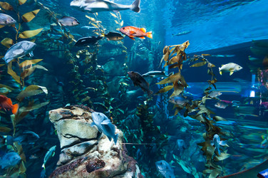 Similar image 13103280