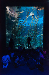 Similar image 13103451