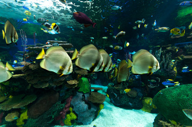 Similar image 13103489