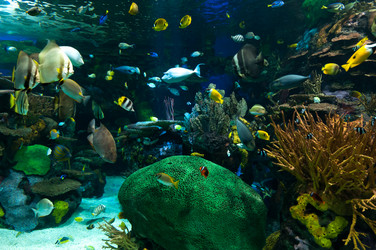 Similar image 13103491