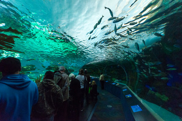 Similar image 13103511