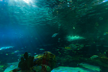 Similar image 13103512