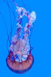 Similar image 13103617