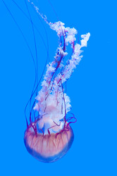 Similar image 13103618