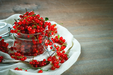 Similar image 13104746