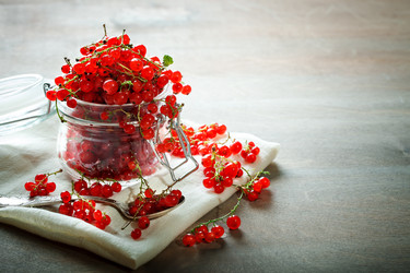 Similar image 13104749