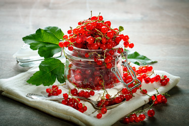 Similar image 13104750