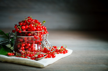 Similar image 13104752