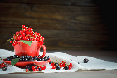 Similar image 13104772