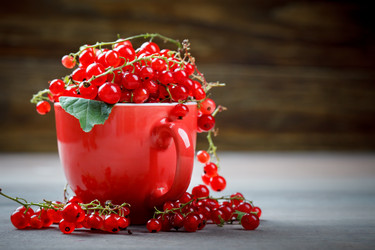 Similar image 13104775