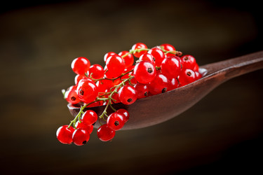 Similar image 13104777