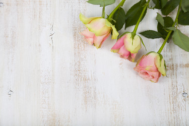 Similar image 13103836