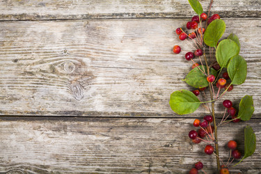 Similar image 13103991