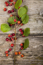 Similar image 13103992