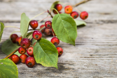 Similar image 13103993