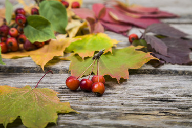 Similar image 13103994