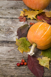 Similar image 13103996