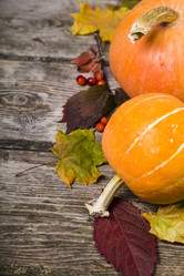 Similar image 13103998