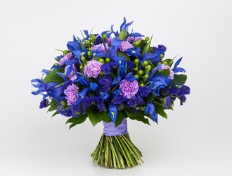 Similar image 13103251