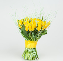 Similar image 13103266