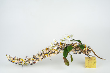 Similar image 13103268