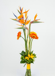 Similar image 13103271