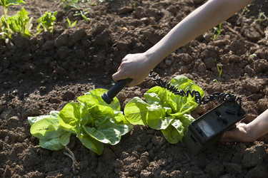 Similar image 13112295