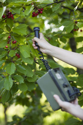 Similar image 13112343