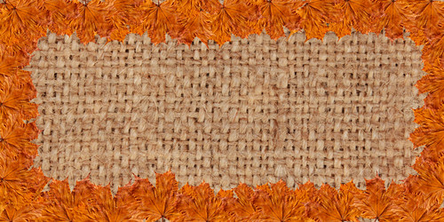 Similar image 13107560