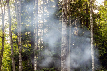 Similar image 13102975