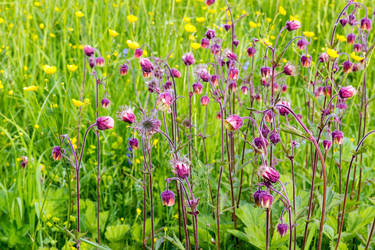 Similar image 13102978