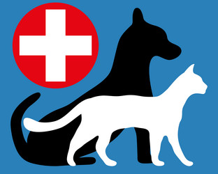 Similar image 13103581