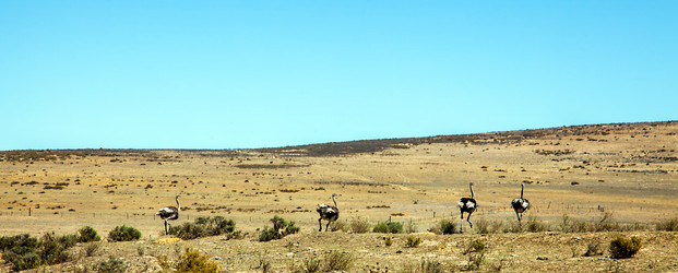 Similar image 13103516