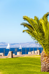 Similar image 13103533