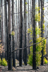 Similar image 13103541