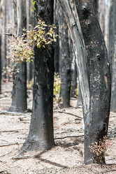 Similar image 13103543