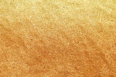 Similar image 13113251