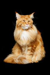 Similar image 13112257